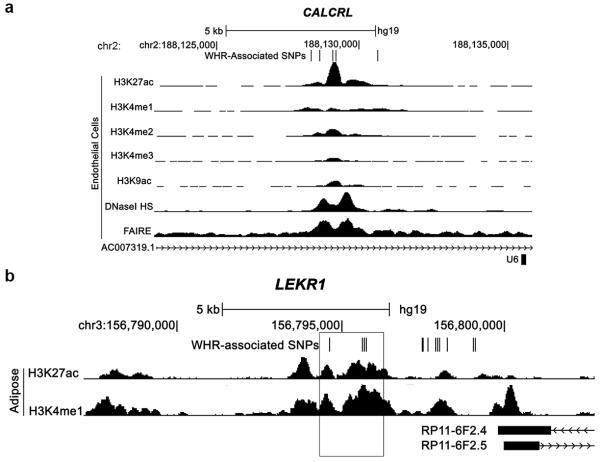 https://cdn.ncbi.nlm.nih.gov/pmc/blobs/293a/4338562/2cbea5f8f5d5/emss-61357-f0005.jpg