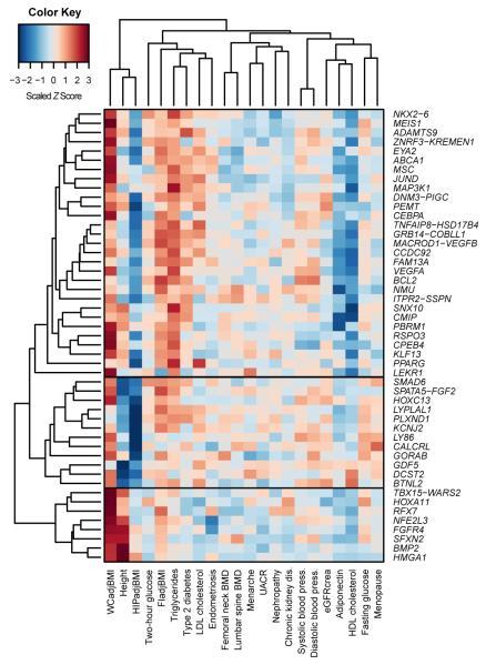https://cdn.ncbi.nlm.nih.gov/pmc/blobs/293a/4338562/7f28777722f0/emss-61357-f0004.jpg