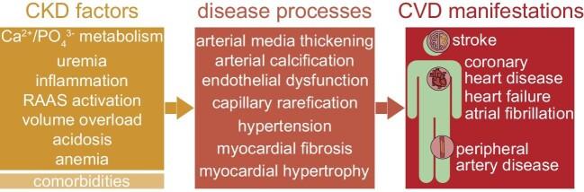 https://cdn.ncbi.nlm.nih.gov/pmc/blobs/293c/10790347/8746d1f7886c/sfad303fig1.jpg