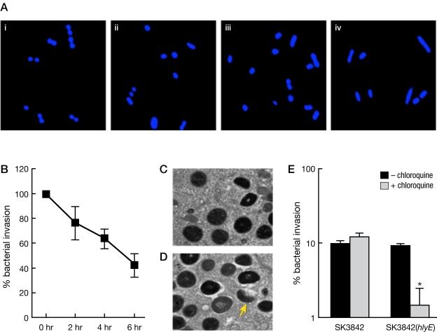 https://cdn.ncbi.nlm.nih.gov/pmc/blobs/293d/3172693/c1eaa4045ed7/mbo0051111620003.jpg