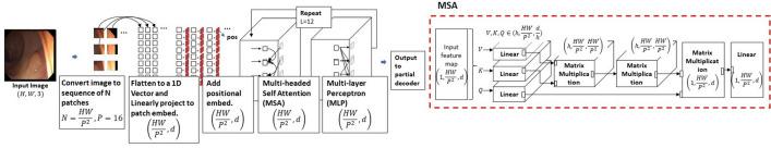 https://cdn.ncbi.nlm.nih.gov/pmc/blobs/2940/9867760/f07c09373d24/41598_2023_28530_Fig3_HTML.jpg