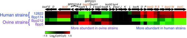 https://cdn.ncbi.nlm.nih.gov/pmc/blobs/2941/1794550/d37c0026cdba/gb-2006-7-9-r81-2.jpg
