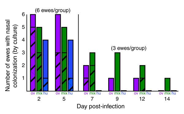 https://cdn.ncbi.nlm.nih.gov/pmc/blobs/2941/1794550/eae69f069dd4/gb-2006-7-9-r81-3.jpg