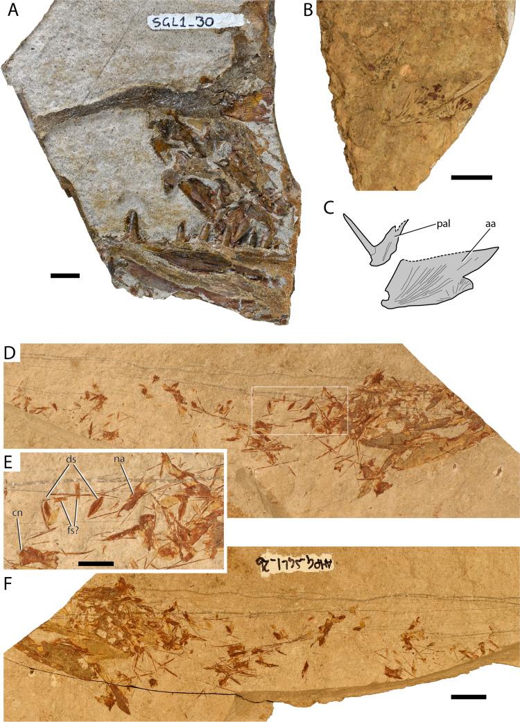 https://cdn.ncbi.nlm.nih.gov/pmc/blobs/2941/7825367/58f04624e36f/peerj-09-10676-g004.jpg