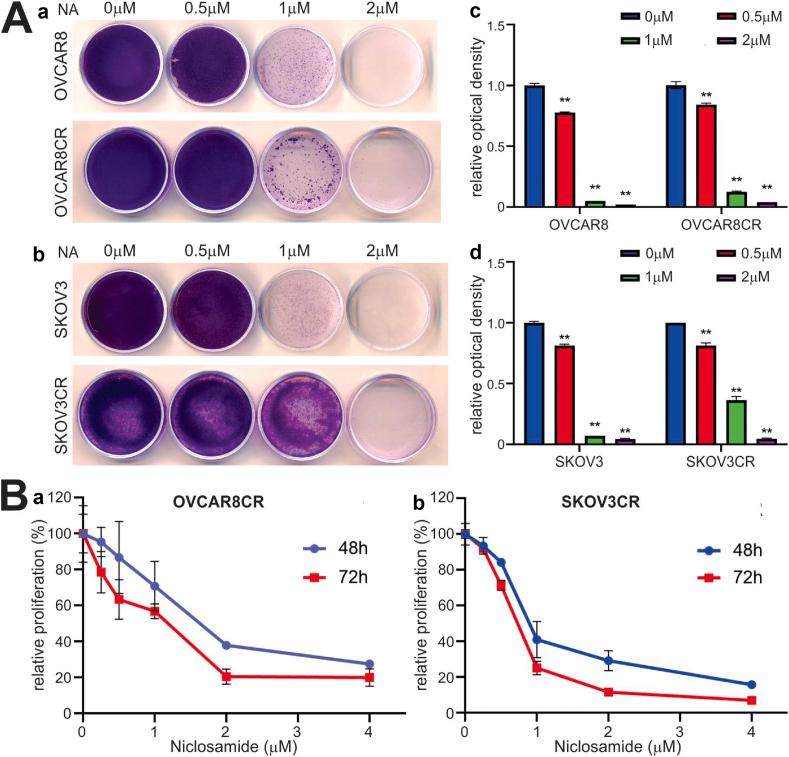 https://cdn.ncbi.nlm.nih.gov/pmc/blobs/2945/10311098/5f7cdabffd37/gr3.jpg