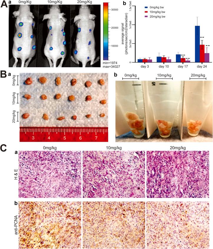https://cdn.ncbi.nlm.nih.gov/pmc/blobs/2945/10311098/65e75f8c89af/gr6.jpg