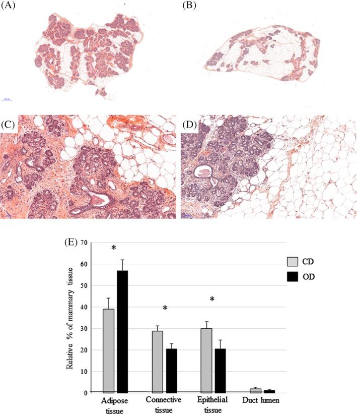 https://cdn.ncbi.nlm.nih.gov/pmc/blobs/2947/6790954/8c7fa2e4cbb6/DVDY-248-948-g002.jpg