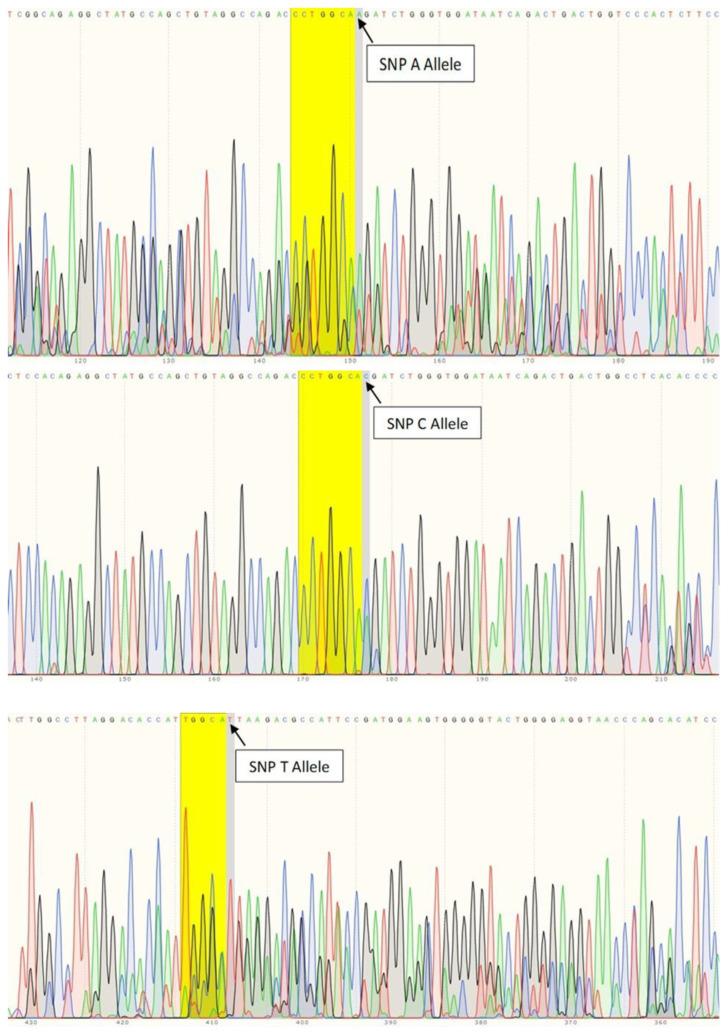 https://cdn.ncbi.nlm.nih.gov/pmc/blobs/2947/8824245/a89aebc12cc6/bmed-11-02-011-g002.jpg