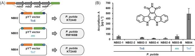 https://cdn.ncbi.nlm.nih.gov/pmc/blobs/2948/10117823/494267f0bda2/xtac030fig5.jpg