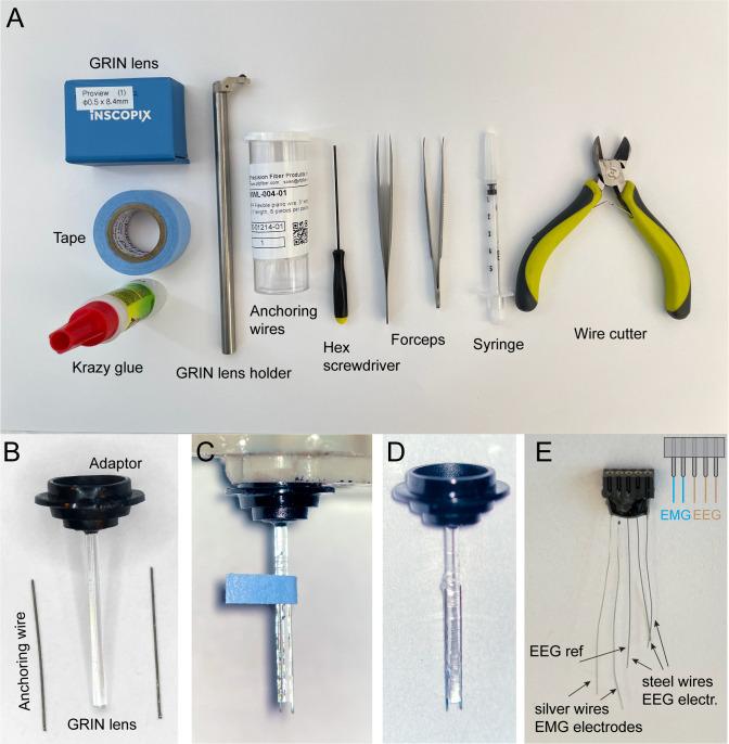 https://cdn.ncbi.nlm.nih.gov/pmc/blobs/2949/10176210/428daed185ea/BioProtoc-13-09-4664-g003.jpg