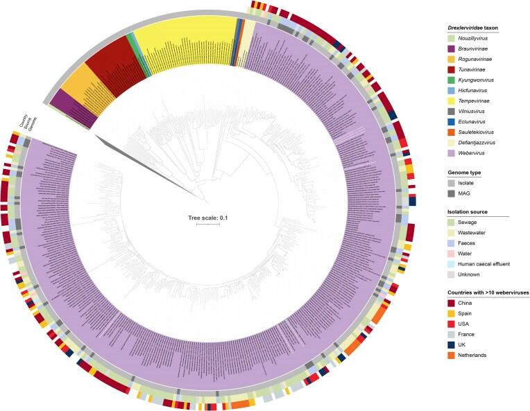 https://cdn.ncbi.nlm.nih.gov/pmc/blobs/294c/12023860/5b7fe8a93e3b/fiaf043fig1.jpg