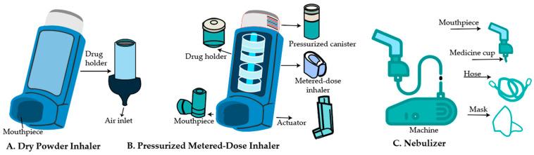https://cdn.ncbi.nlm.nih.gov/pmc/blobs/294d/12389606/3e7710e1a023/pharmaceutics-17-00996-g001.jpg