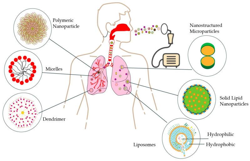 https://cdn.ncbi.nlm.nih.gov/pmc/blobs/294d/12389606/d39a3adf8447/pharmaceutics-17-00996-g002.jpg