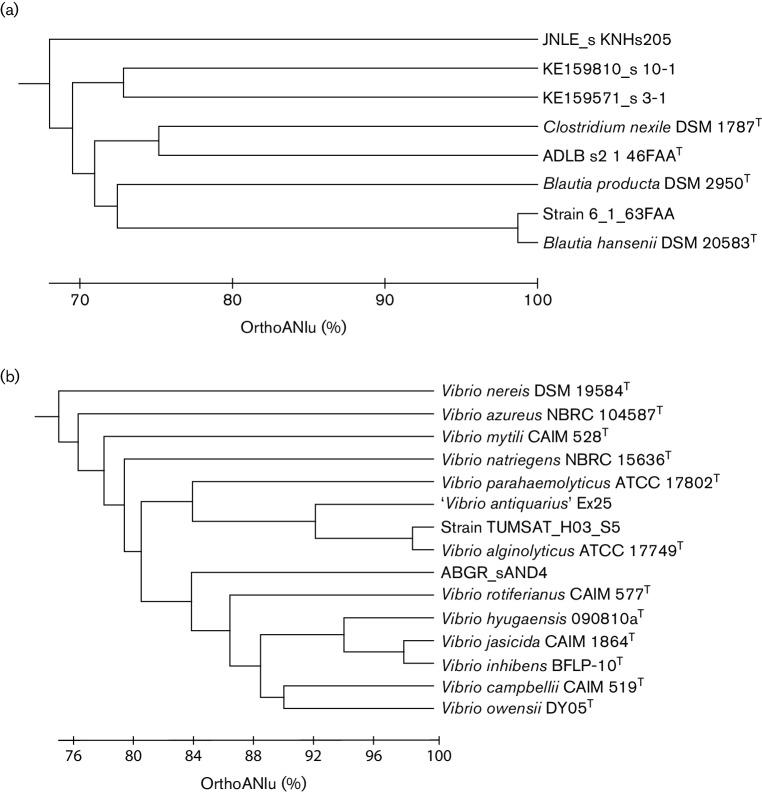 https://cdn.ncbi.nlm.nih.gov/pmc/blobs/294d/5563544/39cd0bce6950/ijsem-67-1613-g002.jpg
