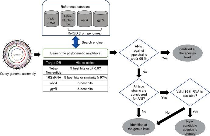 https://cdn.ncbi.nlm.nih.gov/pmc/blobs/294d/5563544/51badecb3de3/ijsem-67-1613-g001.jpg