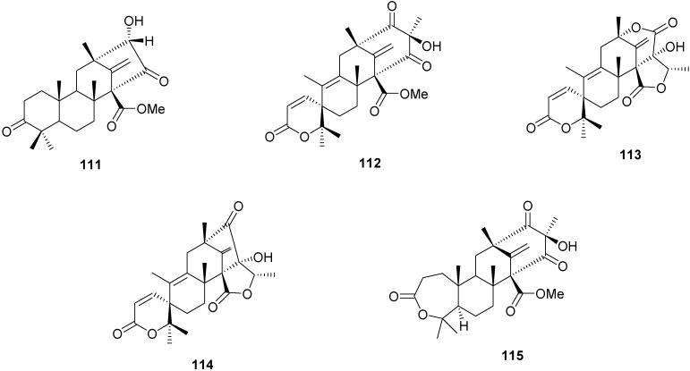 https://cdn.ncbi.nlm.nih.gov/pmc/blobs/2950/6264667/84bc82b36772/molecules-16-10604-g003.jpg