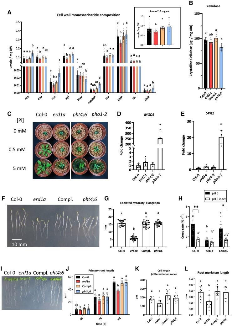 https://cdn.ncbi.nlm.nih.gov/pmc/blobs/2952/10231389/d9a81b3b7cb1/kiad123f6.jpg