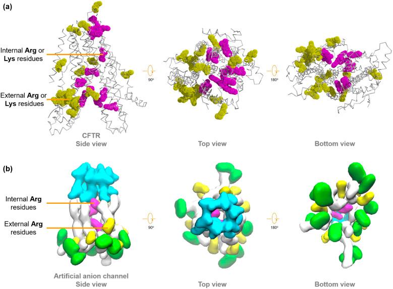 https://cdn.ncbi.nlm.nih.gov/pmc/blobs/2952/11653515/a10862097518/d4sc06893a-f9.jpg