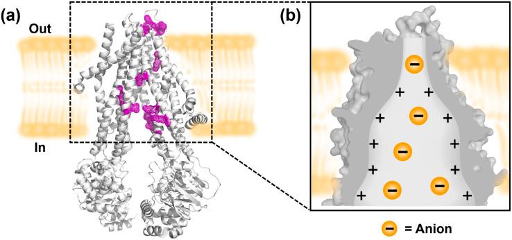 https://cdn.ncbi.nlm.nih.gov/pmc/blobs/2952/11653515/b3ebf45db344/d4sc06893a-f1.jpg