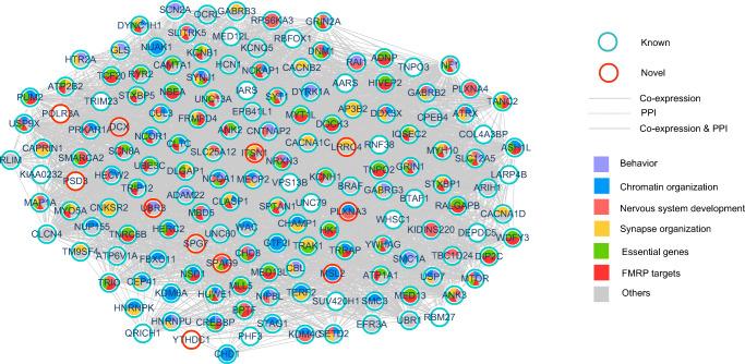 https://cdn.ncbi.nlm.nih.gov/pmc/blobs/2952/8280036/6b02dbb0798d/12035_2021_2377_Fig2_HTML.jpg