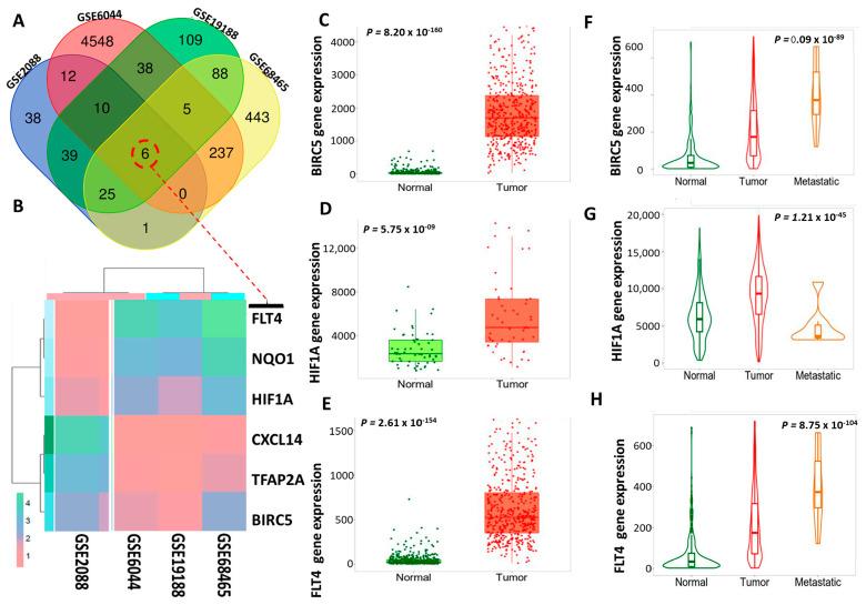 https://cdn.ncbi.nlm.nih.gov/pmc/blobs/2953/10376976/637b8392b20d/biomedicines-11-02011-g002.jpg