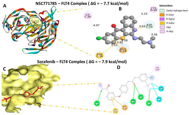 https://cdn.ncbi.nlm.nih.gov/pmc/blobs/2953/10376976/706fc895be5d/biomedicines-11-02011-g011.jpg