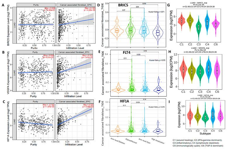 https://cdn.ncbi.nlm.nih.gov/pmc/blobs/2953/10376976/82867adb8844/biomedicines-11-02011-g007.jpg