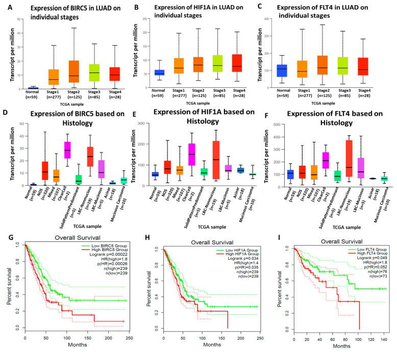 https://cdn.ncbi.nlm.nih.gov/pmc/blobs/2953/10376976/98d0e9df5a40/biomedicines-11-02011-g003.jpg