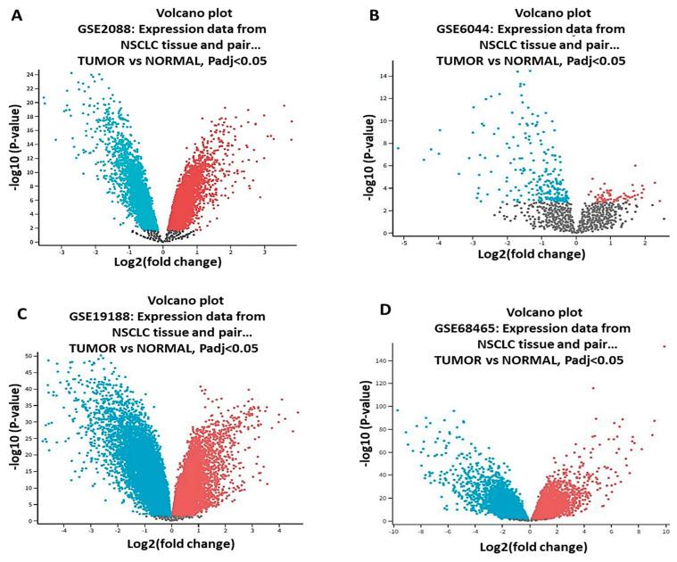 https://cdn.ncbi.nlm.nih.gov/pmc/blobs/2953/10376976/bb283071350c/biomedicines-11-02011-g001.jpg