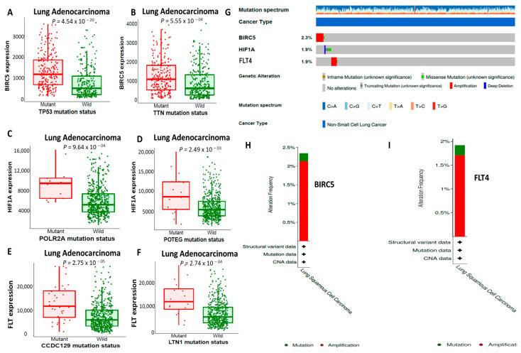 https://cdn.ncbi.nlm.nih.gov/pmc/blobs/2953/10376976/e2747c1caed4/biomedicines-11-02011-g005.jpg