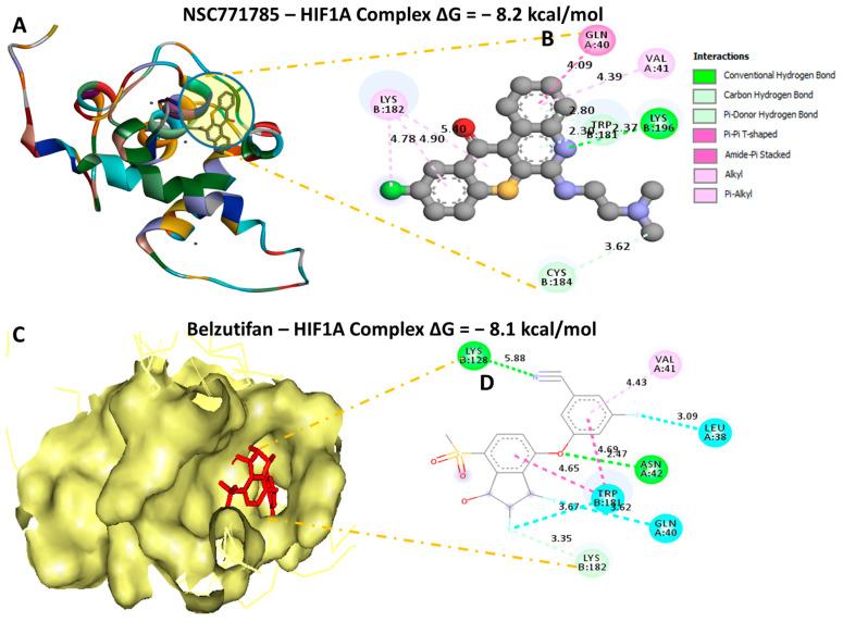 https://cdn.ncbi.nlm.nih.gov/pmc/blobs/2953/10376976/ef41f0937228/biomedicines-11-02011-g012.jpg