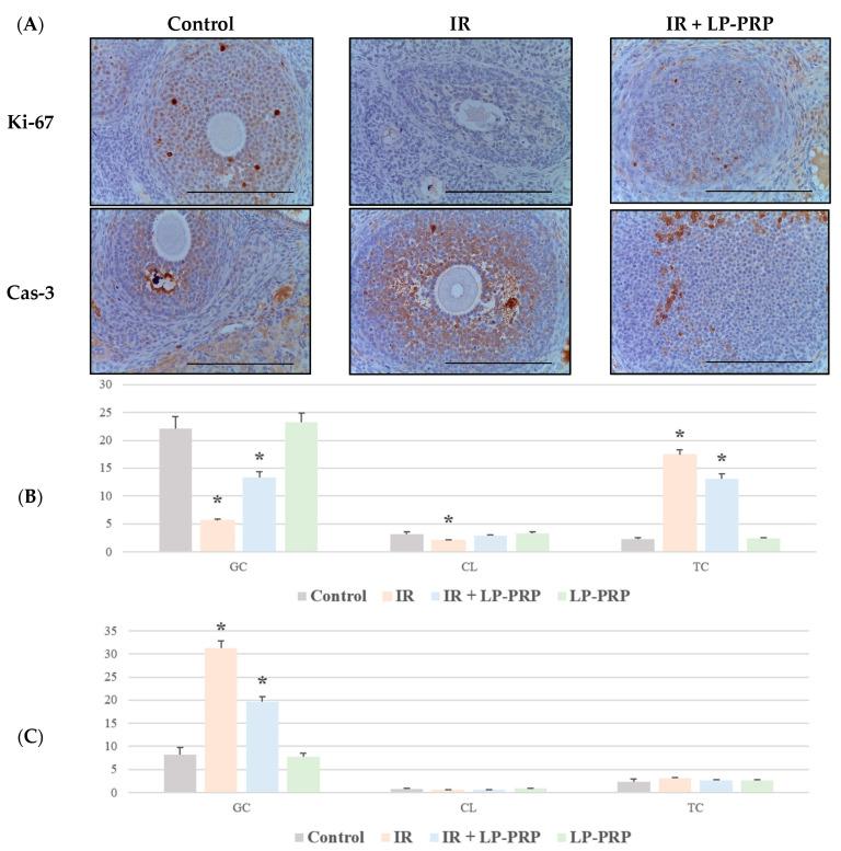 https://cdn.ncbi.nlm.nih.gov/pmc/blobs/2953/11432445/5940049fd23e/ijms-25-10115-g002.jpg