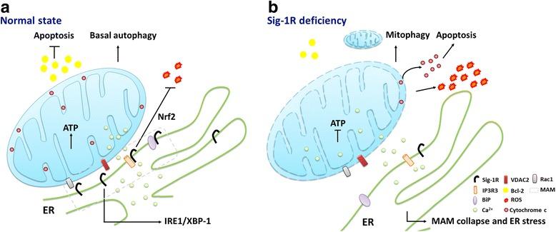 https://cdn.ncbi.nlm.nih.gov/pmc/blobs/2954/5603014/8f8c7832db2d/12929_2017_380_Fig1_HTML.jpg