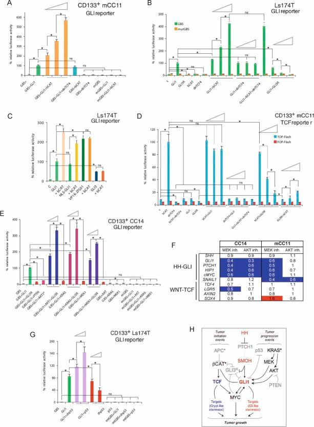 https://cdn.ncbi.nlm.nih.gov/pmc/blobs/2955/3394505/e3554372be31/emmm0002-0440-f3.jpg