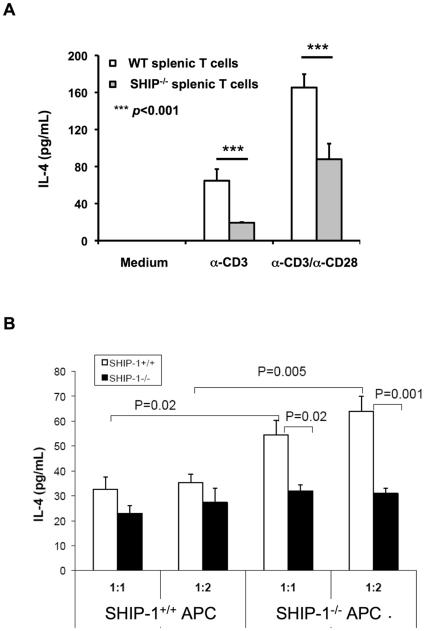 https://cdn.ncbi.nlm.nih.gov/pmc/blobs/2958/2994819/7021c6a3d5eb/pone.0014174.g006.jpg