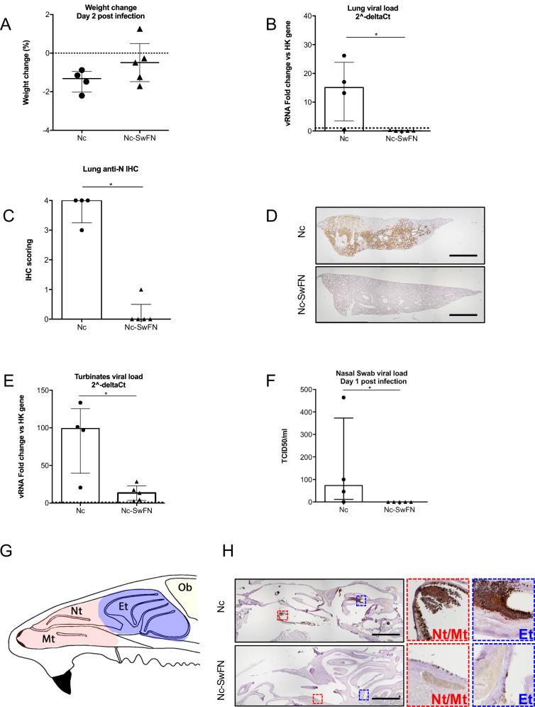 https://cdn.ncbi.nlm.nih.gov/pmc/blobs/295a/12008205/4d753cdc346e/41541_2025_1123_Fig7_HTML.jpg