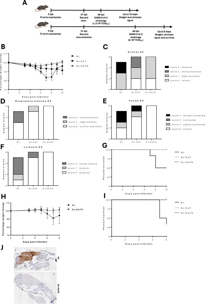 https://cdn.ncbi.nlm.nih.gov/pmc/blobs/295a/12008205/6d288f9b42a4/41541_2025_1123_Fig6_HTML.jpg