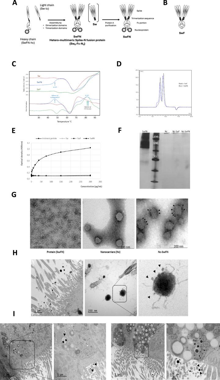https://cdn.ncbi.nlm.nih.gov/pmc/blobs/295a/12008205/fb4e5050fbc4/41541_2025_1123_Fig1_HTML.jpg