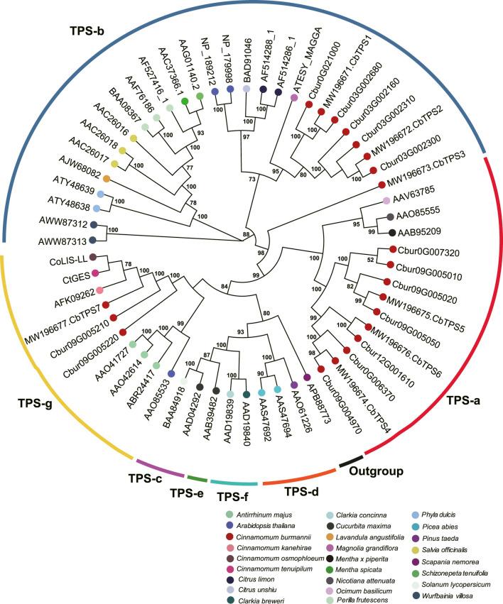 https://cdn.ncbi.nlm.nih.gov/pmc/blobs/295a/9852720/c9f2fd4609a5/fgene-13-1087495-g008.jpg