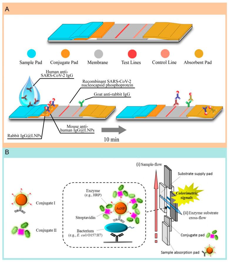 https://cdn.ncbi.nlm.nih.gov/pmc/blobs/295b/11279515/9b4528decb00/molecules-29-03322-g005.jpg