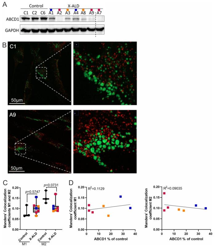 https://cdn.ncbi.nlm.nih.gov/pmc/blobs/295d/10526550/8e653cee1e66/biomolecules-13-01333-g004.jpg