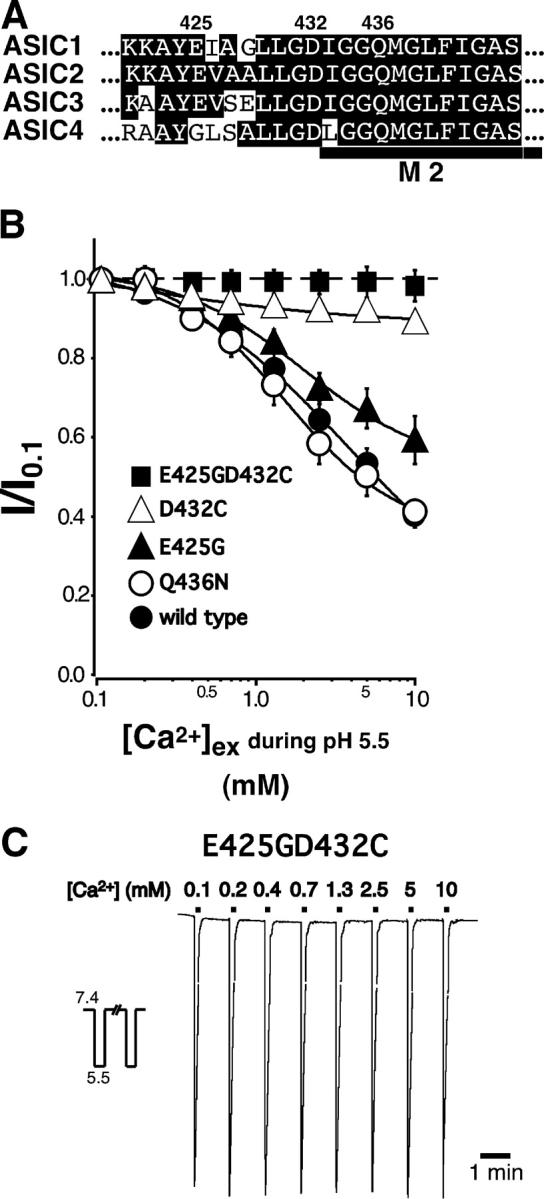 https://cdn.ncbi.nlm.nih.gov/pmc/blobs/295d/2233906/1674ea207be5/200308973f4.jpg