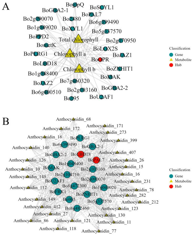 https://cdn.ncbi.nlm.nih.gov/pmc/blobs/295f/11945052/0da3b601b829/plants-14-00849-g011.jpg