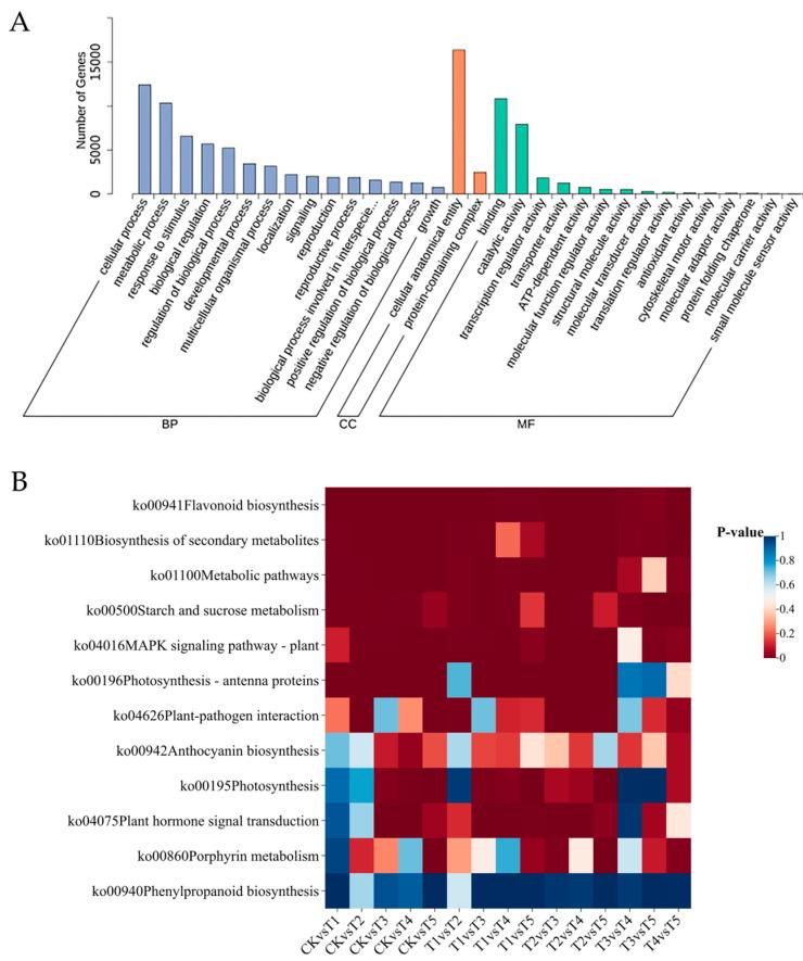 https://cdn.ncbi.nlm.nih.gov/pmc/blobs/295f/11945052/7e77a65af20b/plants-14-00849-g005.jpg