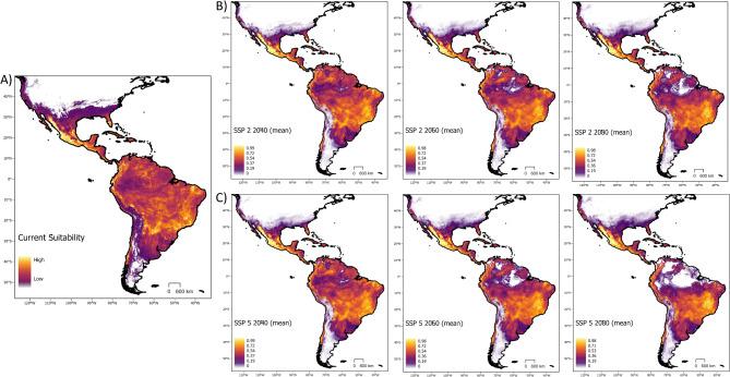 https://cdn.ncbi.nlm.nih.gov/pmc/blobs/2960/11836402/a86244d5c600/41598_2025_87977_Fig3_HTML.jpg