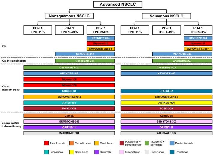 https://cdn.ncbi.nlm.nih.gov/pmc/blobs/2961/12185780/80e4b75ade29/TCA-16-e70113-g002.jpg