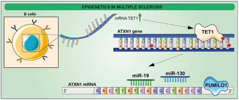 https://cdn.ncbi.nlm.nih.gov/pmc/blobs/2961/9740629/959da38e82cb/ijms-23-15218-g005.jpg