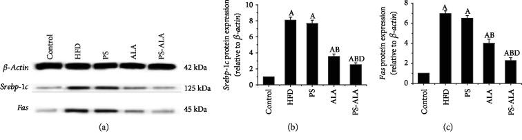 https://cdn.ncbi.nlm.nih.gov/pmc/blobs/2962/7695996/3cddda7529d4/OMCL2019-8294141.004.jpg