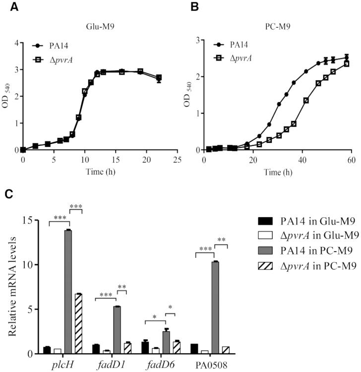 https://cdn.ncbi.nlm.nih.gov/pmc/blobs/2963/7293031/7506c50f288d/gkaa377fig5.jpg
