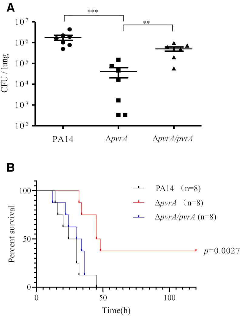 https://cdn.ncbi.nlm.nih.gov/pmc/blobs/2963/7293031/b9572013756a/gkaa377fig1.jpg